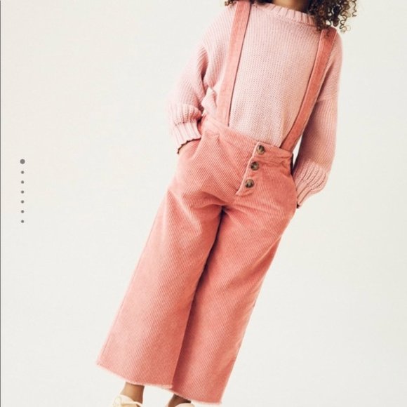 Zara Other - NWT! Zara Pink Wide Leg Corduroy Overalls